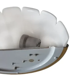 Hot Pamono Model 3316 Shell-Shaped Sconce from Glashütte Limburg, 1970s