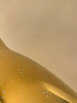 Best Pamono Model 50-055 Wall Lamp by Lisa Johansson-Pape for Orno, 1950s