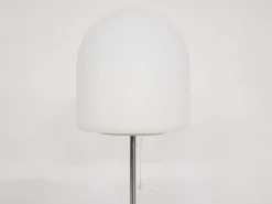 Pamono Model A251 Floor Lamp by Aldo Van Den Nieuwelaar for Artimeta, 1972