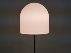 Pamono Model A251 Floor Lamp by Aldo Van Den Nieuwelaar for Artimeta, 1972