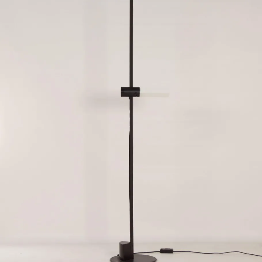 Clearance Pamono Model Caltha Floor Lamp by G.F. Frattini for Luci, Italy, 1980s