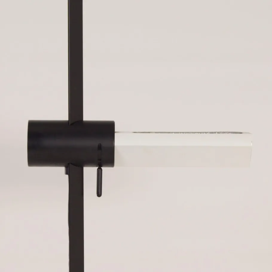 Clearance Pamono Model Caltha Floor Lamp by G.F. Frattini for Luci, Italy, 1980s