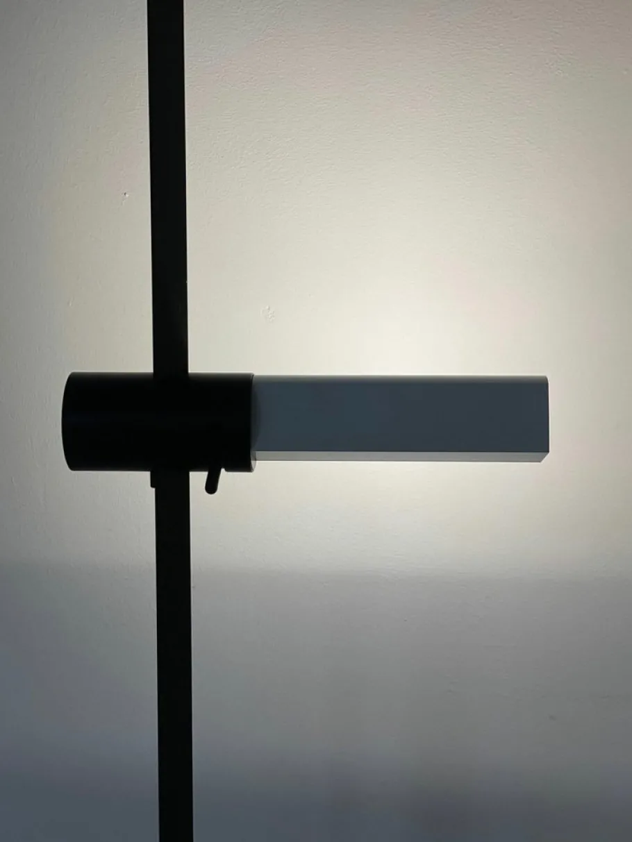 Clearance Pamono Model Caltha Floor Lamp by G.F. Frattini for Luci, Italy, 1980s