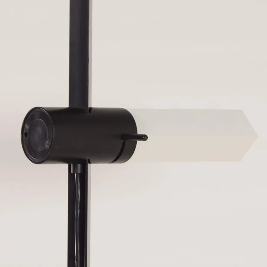 Clearance Pamono Model Caltha Floor Lamp by G.F. Frattini for Luci, Italy, 1980s