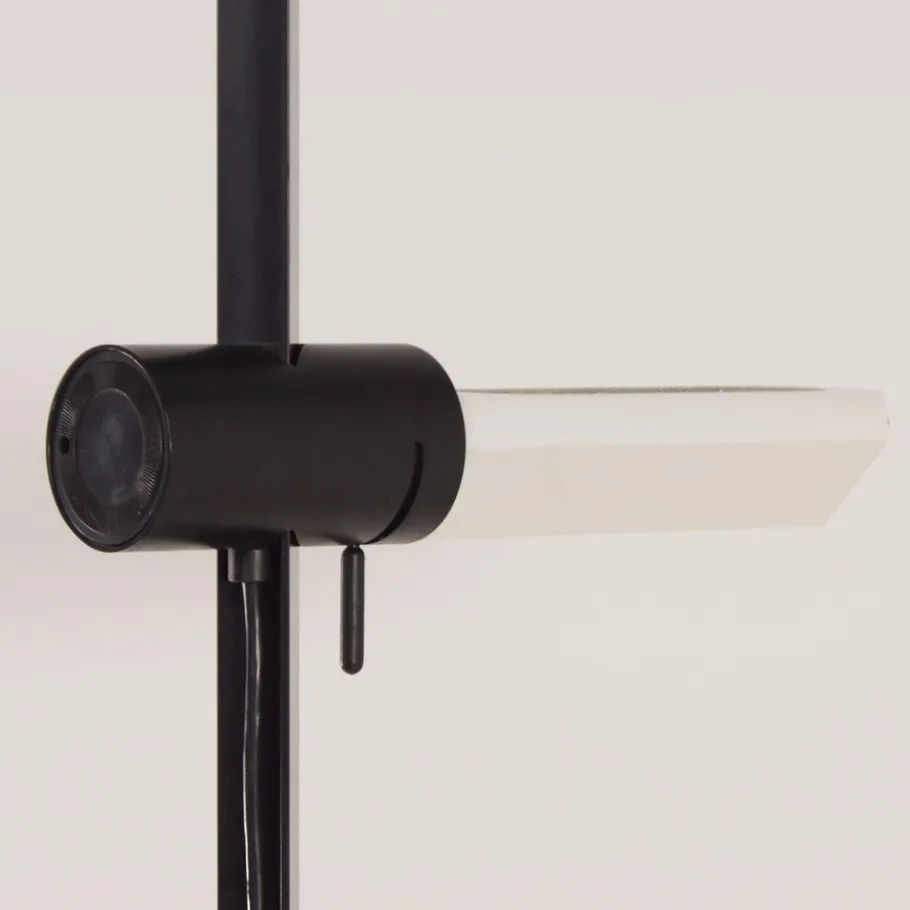 Clearance Pamono Model Caltha Floor Lamp by G.F. Frattini for Luci, Italy, 1980s