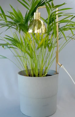 Clearance Pamono Model G98 Flower Lamp by Hans-Agne Jakobsson for HAJ Markaryd, 1960s