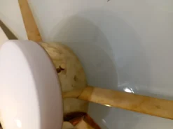 Hot Pamono Model Star Comet Wall Light in the style of Gio Ponti