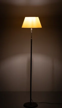 Pamono Modern Swing Arm Floor Lamp from Holtkotter, Germany
