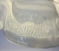 Hot Pamono Murano Chandelier from La Murrina, 1970s