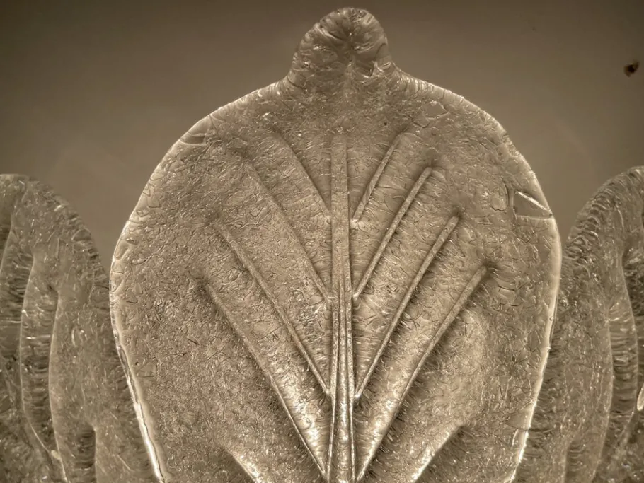 Clearance Pamono Murano Glass Leaf Sconces, Set of 2