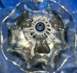 Discount Pamono North Pole Star Majestic La Murrina Ceiling Light, 1990