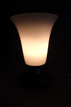 Hot Pamono Opaline Glass Tulip Lamp, 20th Century