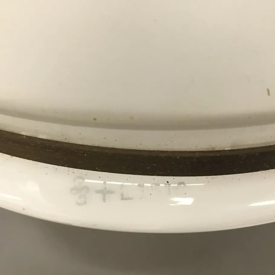 New Pamono Pendant Lamp with White and Matted Glass Shade by Peter Behrens, 1910