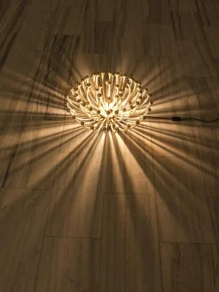 Clearance Pamono Pistillo Table Lamp by Studio Tetrarch for Valenti, 1969