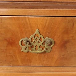 Pamono Regency Style Mahogany Bookcase