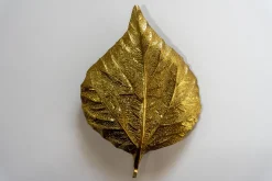 New Pamono Sconces by Tommaso Barbi for G&G Studio e Disegno, 1970s, Set of 2