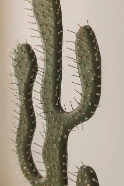 Clearance Pamono Sculptural Cactus Floor Lamp in Travertine and Fiberglass, 1970s