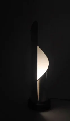 Best Pamono Sculptural Stainless Steel Floor Lamp from Stilnovo, 1970s