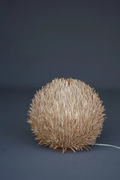 Hot Pamono Sea Urchin Wooden Table Lamp, 1990s