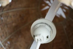 Hot Pamono Sea Urchin Wooden Table Lamp, 1990s