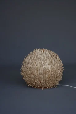Hot Pamono Sea Urchin Wooden Table Lamp, 1990s