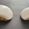 Discount Pamono Shell-Shaped Wall Lights in Refined Murano Glass, 1960s, Set of 2