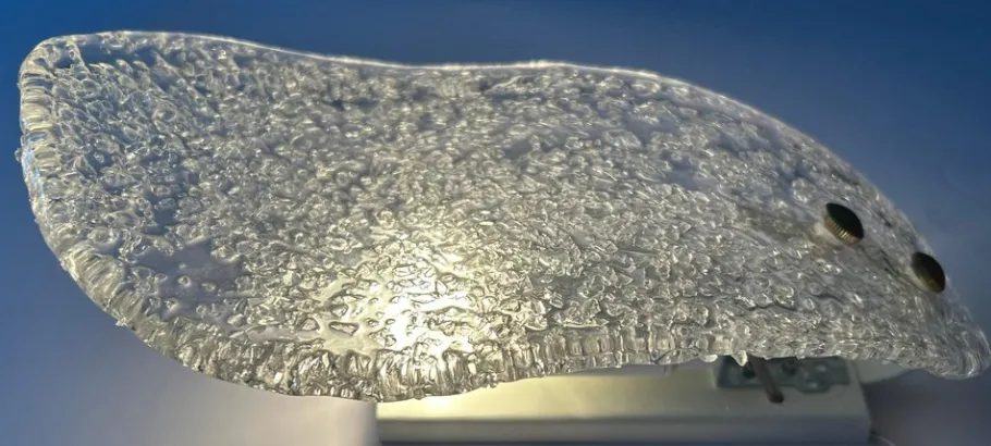 New Pamono Snow White Butterflies Murano Sconces, 1980s, Set of 5