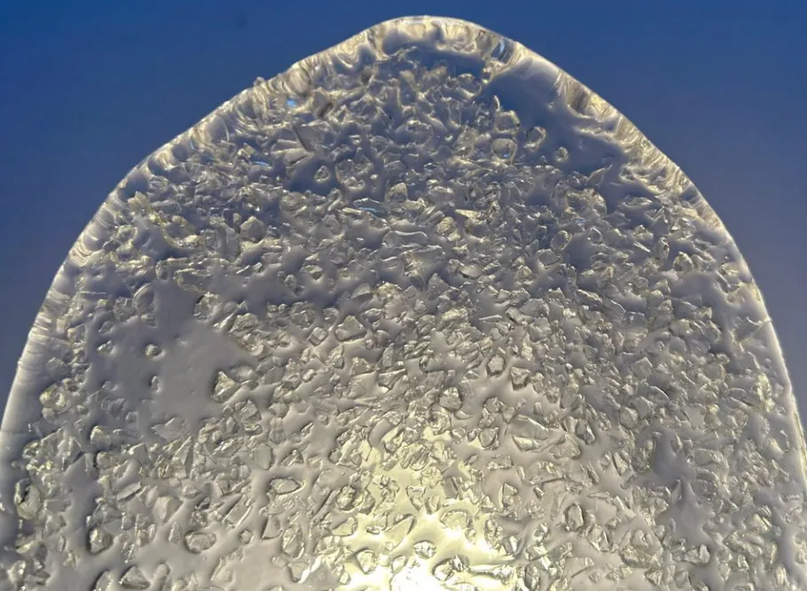 New Pamono Snow White Butterflies Murano Sconces, 1980s, Set of 5