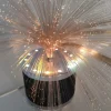 Clearance Pamono Space Age Fiber Optic Table Lamp, 1960s