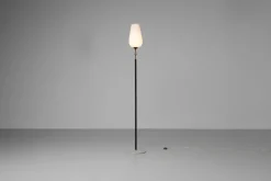 Discount Pamono Standard Floor Lamp by Angelo Lelii for Arredoluce, Italy, 1956