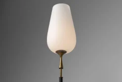 Discount Pamono Standard Floor Lamp by Angelo Lelii for Arredoluce, Italy, 1956