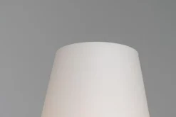 Discount Pamono Standard Floor Lamp by Angelo Lelii for Arredoluce, Italy, 1956