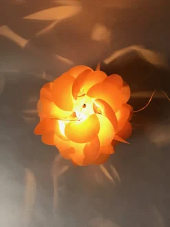 Hot Pamono Table Lamp by Raoul Raba, 1950s