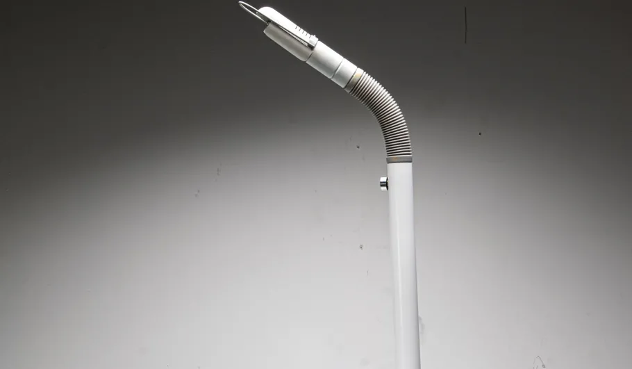 New Pamono Targetti Flexible Floor Lamp, 1980