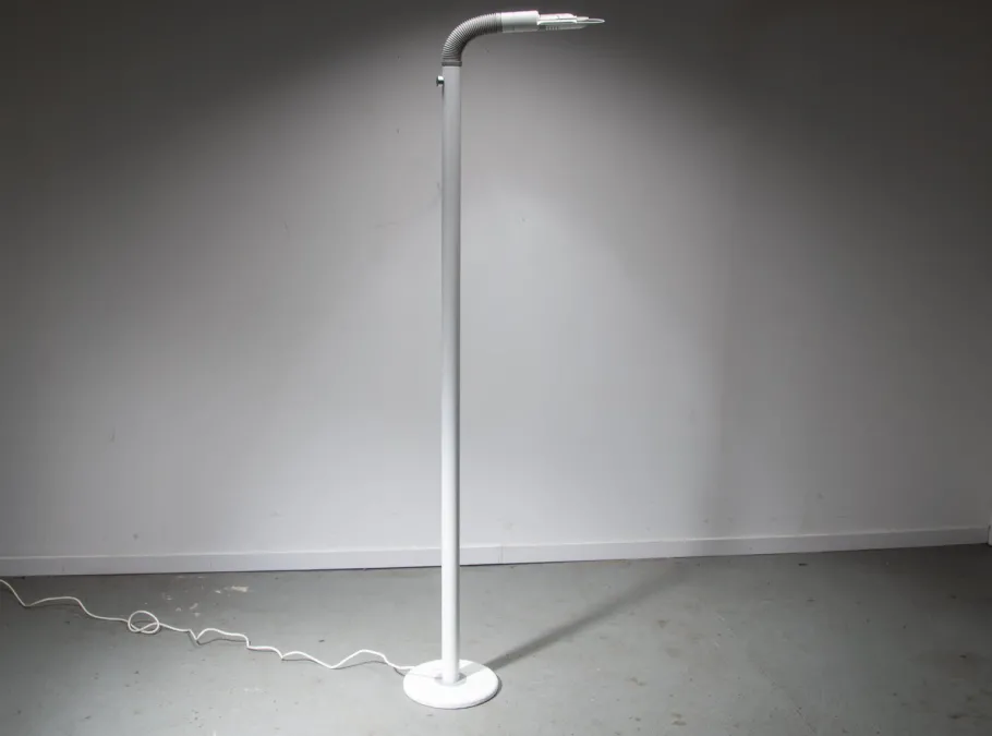 New Pamono Targetti Flexible Floor Lamp, 1980