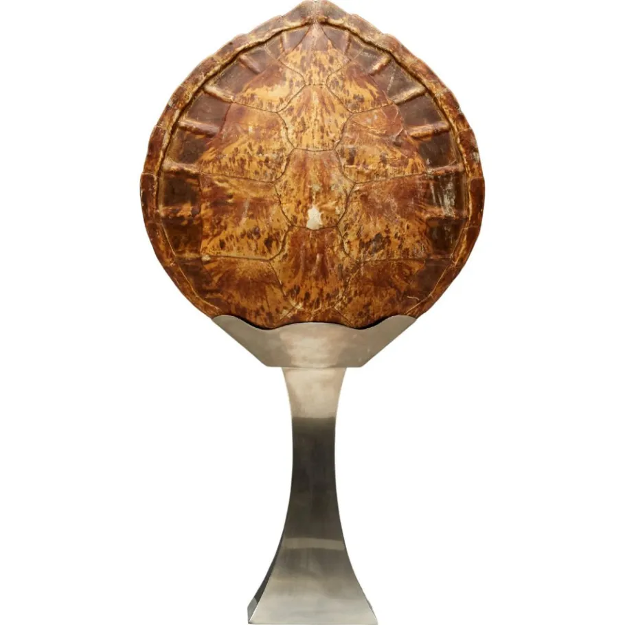 Clearance Pamono Turtle Shell Table Lamp attributed to Christian Dior, France, 1970s