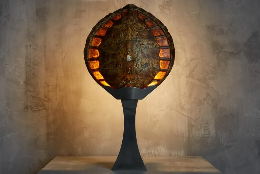 Clearance Pamono Turtle Shell Table Lamp attributed to Christian Dior, France, 1970s