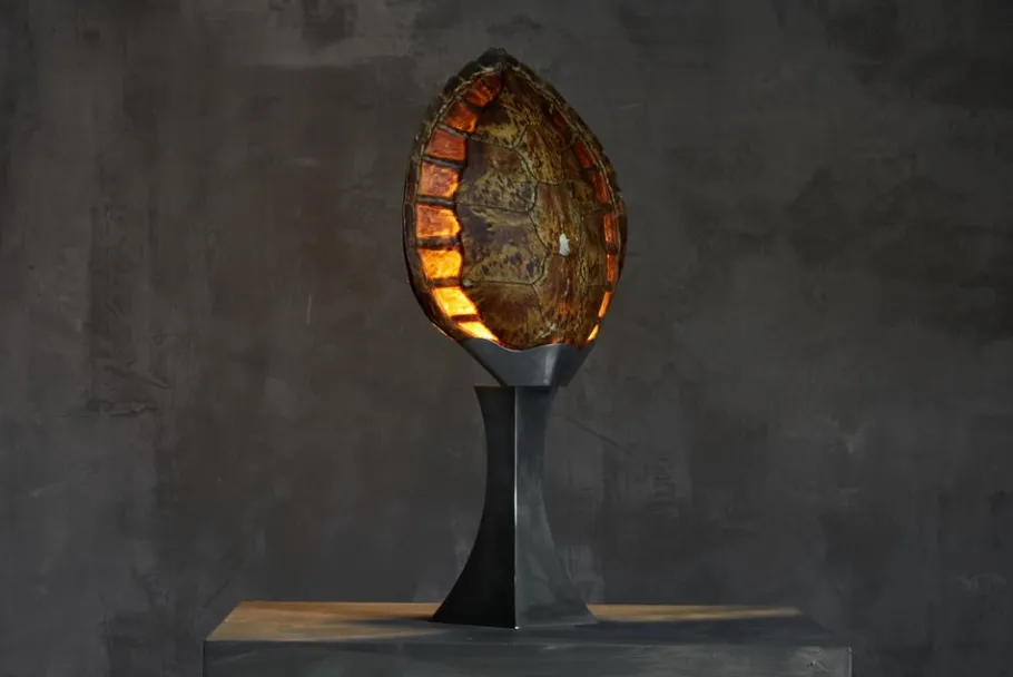 Clearance Pamono Turtle Shell Table Lamp attributed to Christian Dior, France, 1970s