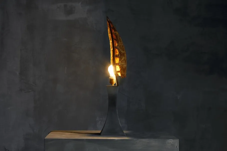 Clearance Pamono Turtle Shell Table Lamp attributed to Christian Dior, France, 1970s