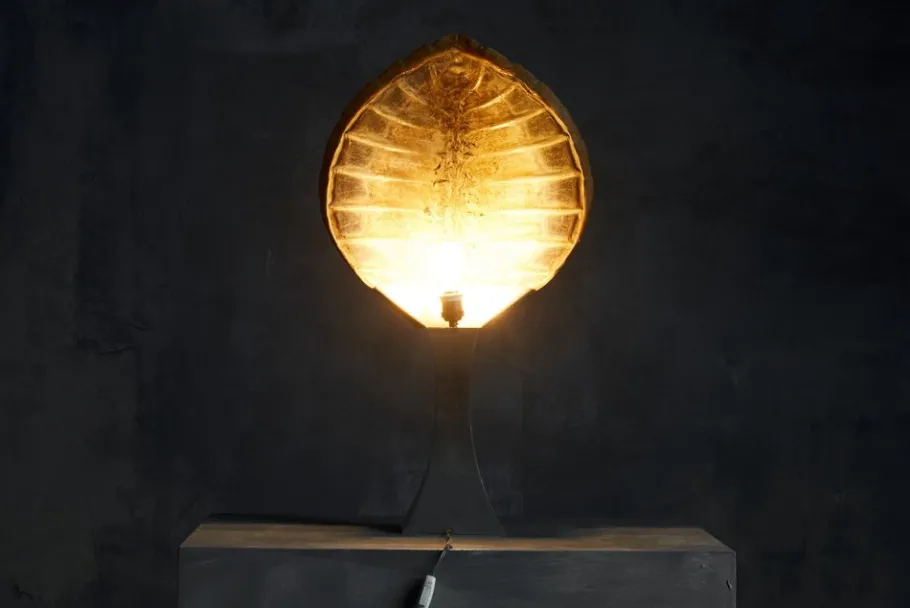 Clearance Pamono Turtle Shell Table Lamp attributed to Christian Dior, France, 1970s