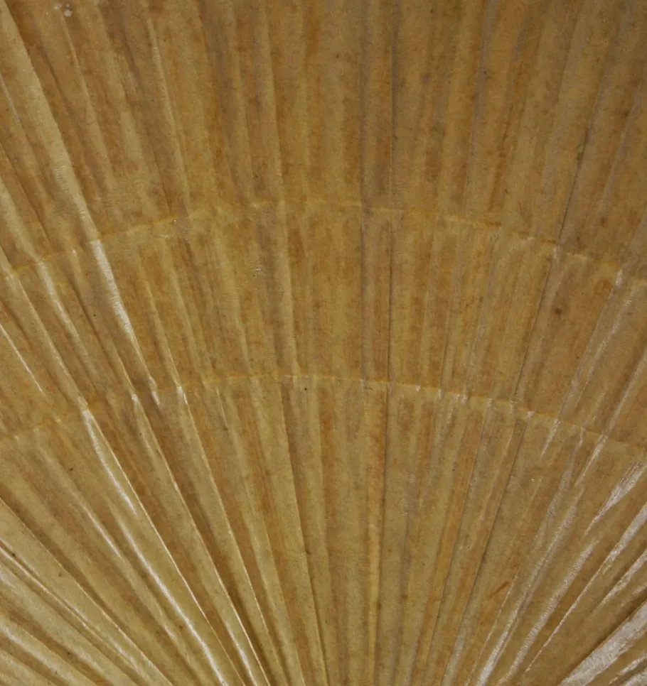 Best Pamono Uchiwa II Wall Lamp by Ingo Maurer, 1970