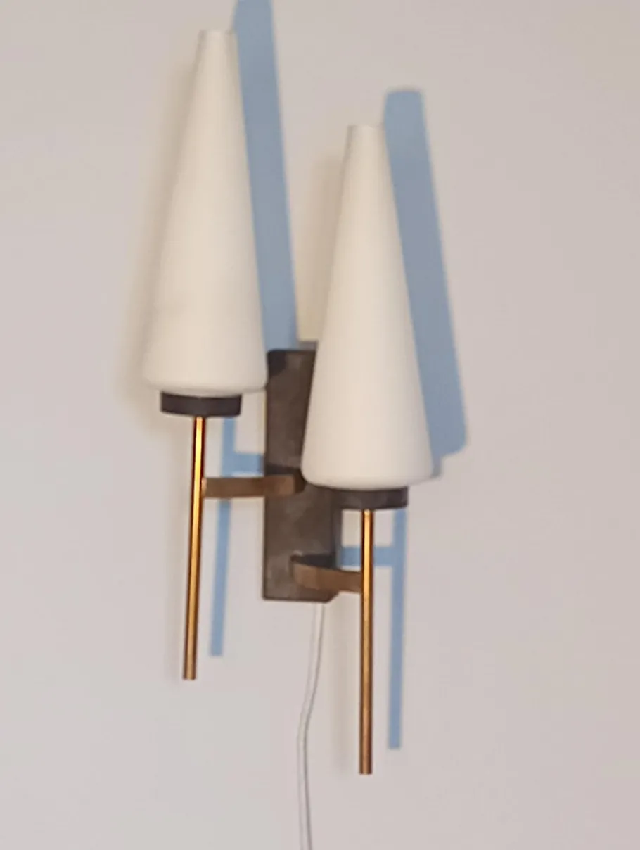 Hot Pamono Vintage French Brass and Opaline Wall Light, 1950s
