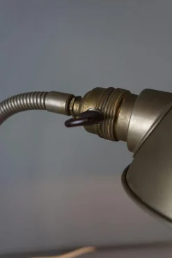 Pamono Vintage Goose Neck Metal Desk Lamp