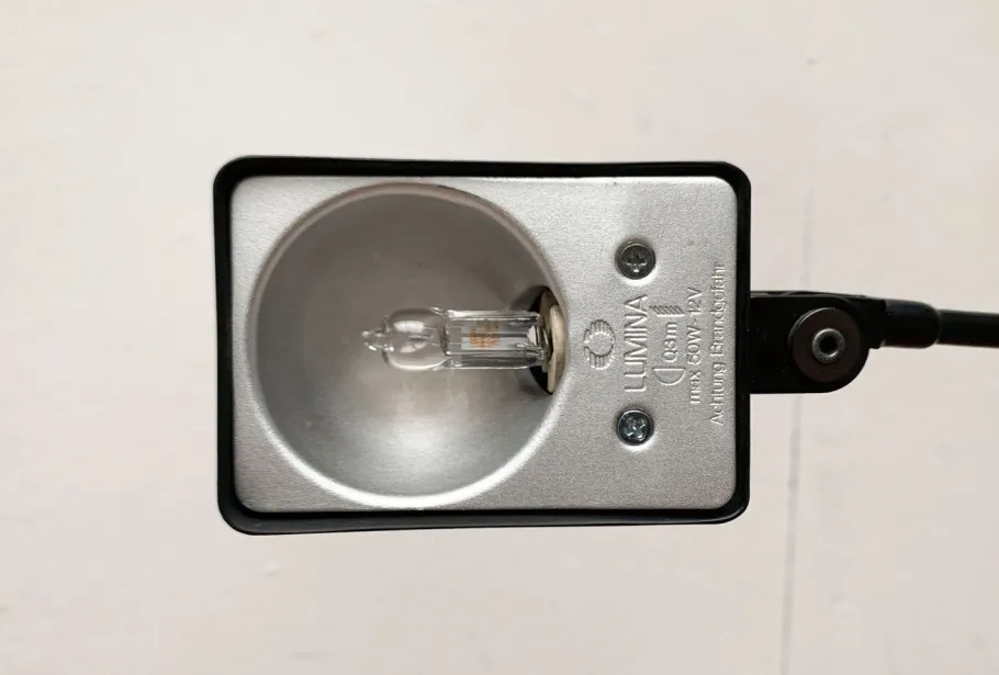 Best Pamono Vintage Italian Daphine Classic Table Lamp by Tommaso Cimini for Lumina, 1970s