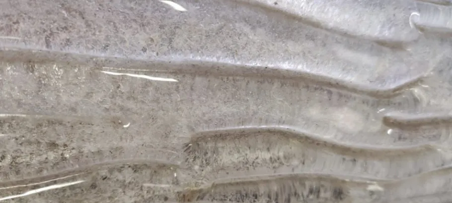 Best Pamono Vintage Murano Sconce Paolo Venini for Venini, 1950s