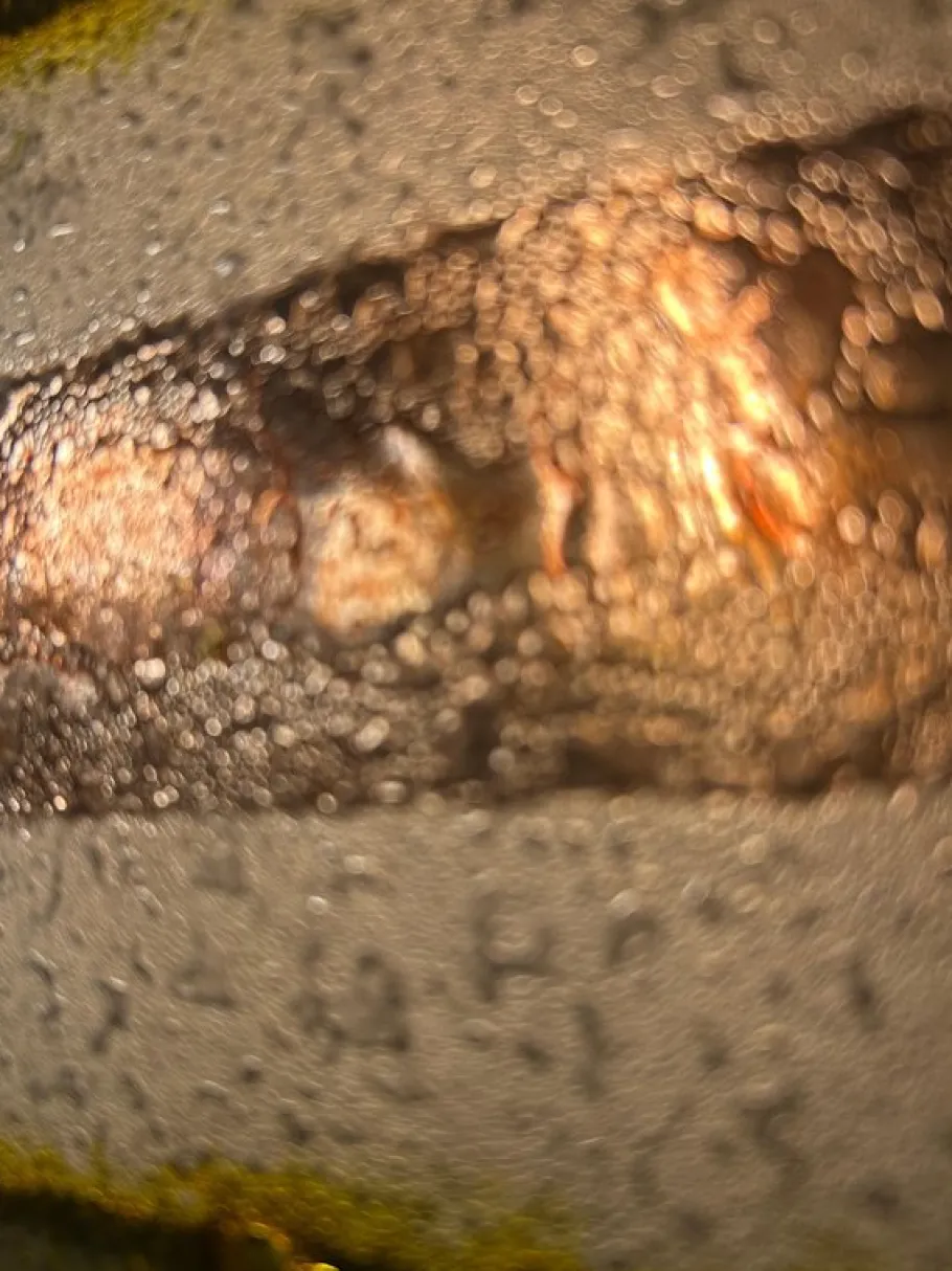 Pamono Vintage Murano Wall Light, 1980s