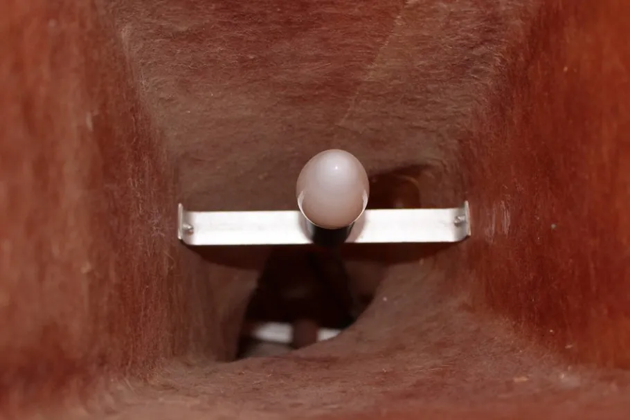 Discount Pamono Vintage Orange Fiberglass Floor Lamp