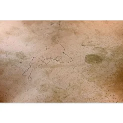 New Pamono Vintage Oyster Wall Lamp by Rolf Krüger