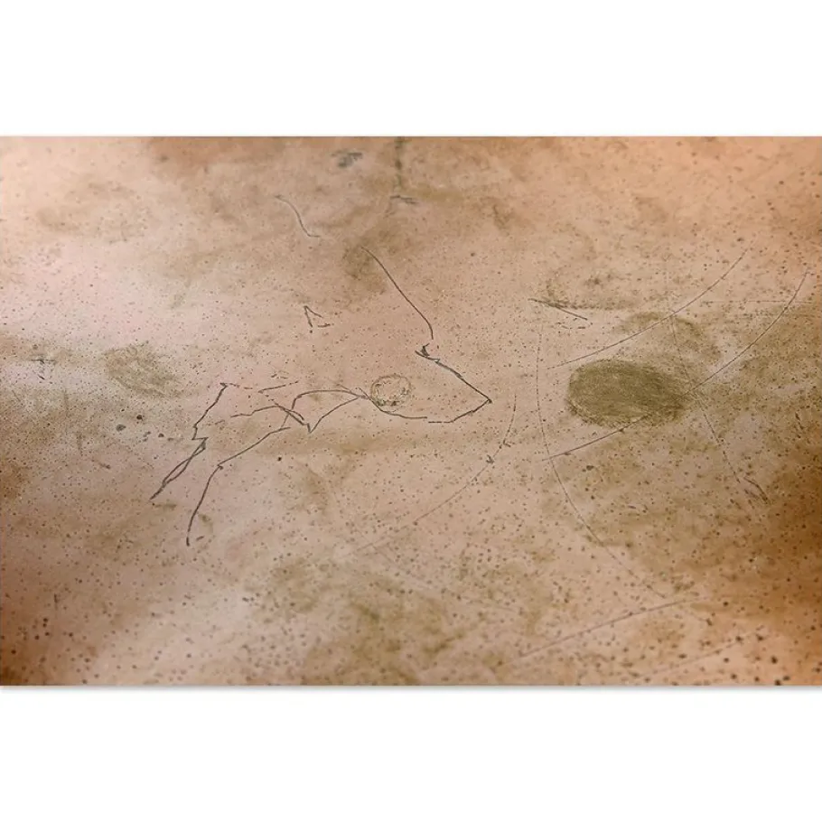 New Pamono Vintage Oyster Wall Lamp by Rolf Krüger