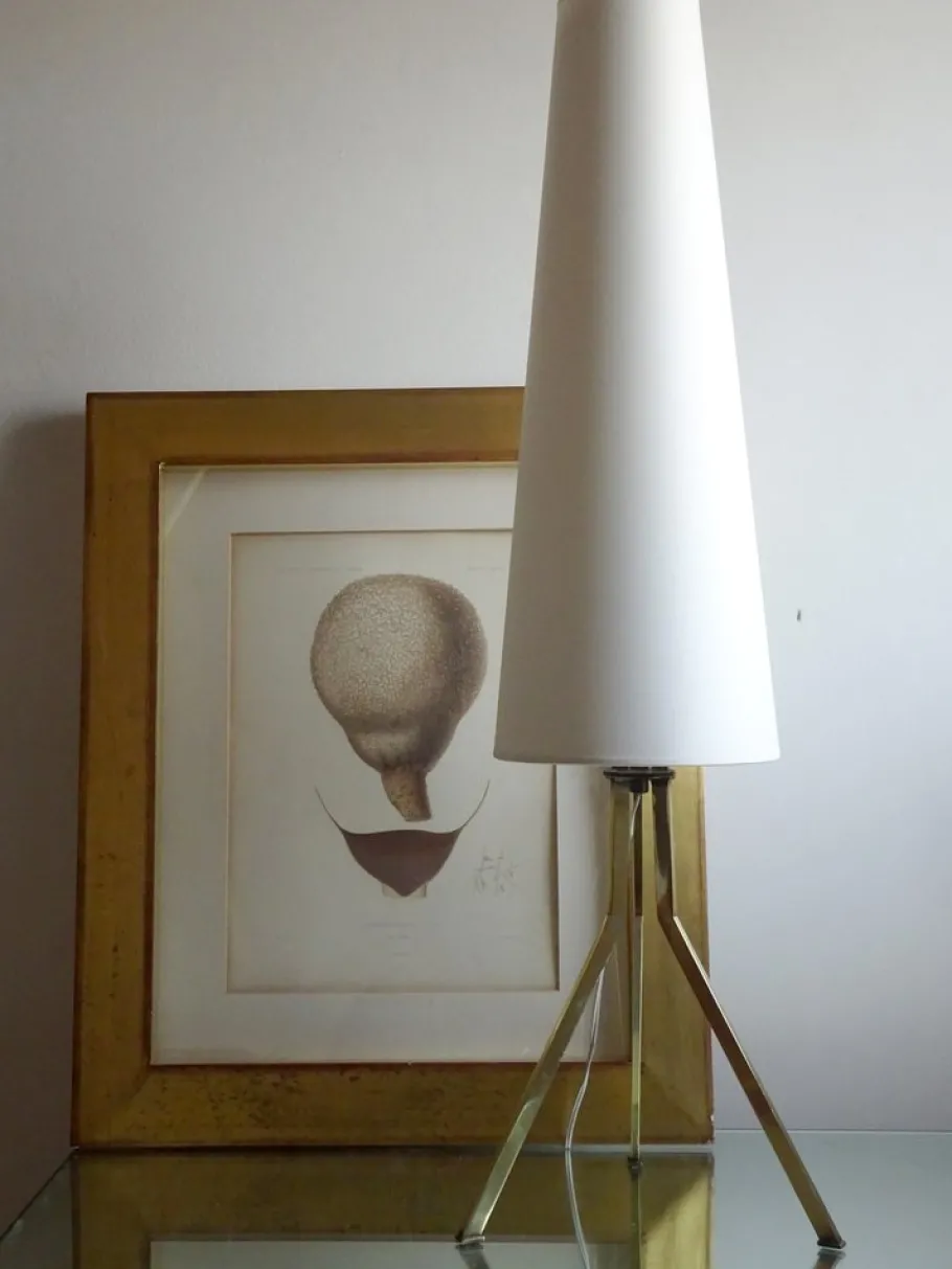 New Pamono Vintage Tripod Table Lamp, 1950s